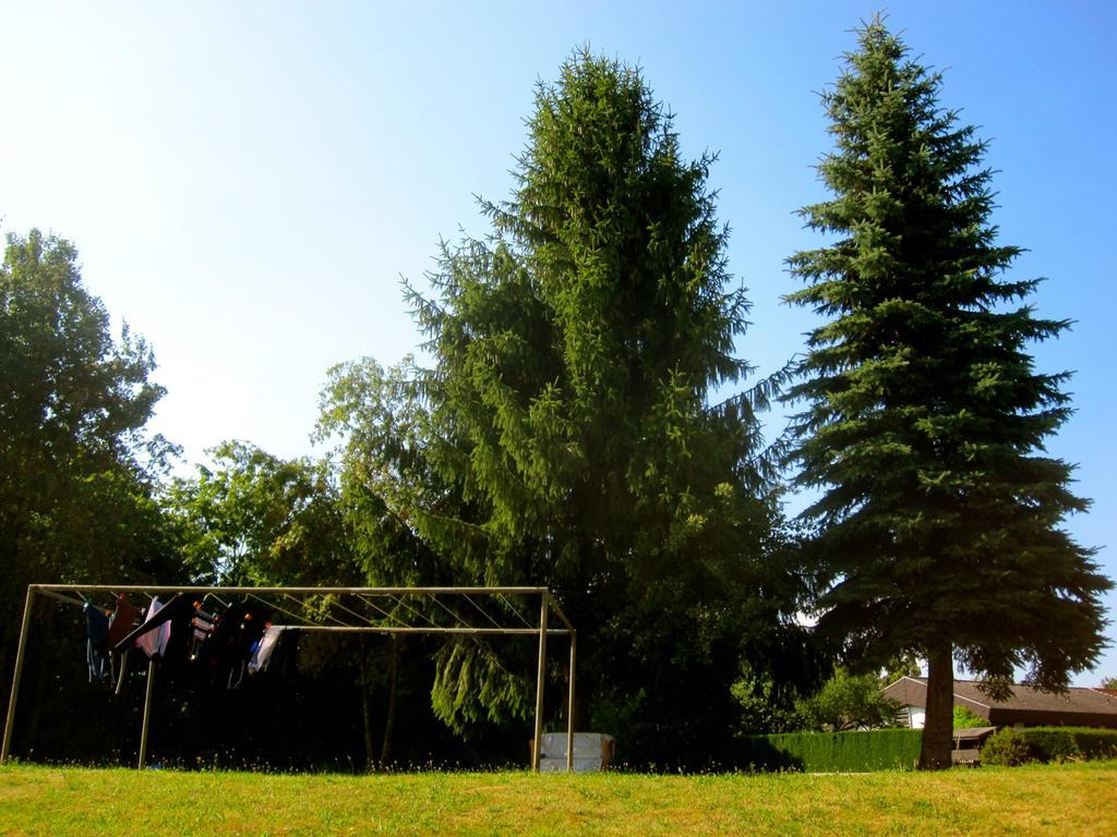 Ferienwohnung Am Ziegelbach แฮคินเงิน ภายนอก รูปภาพ